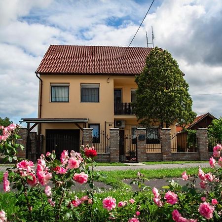 Mónika Vendégház Mórahalom Exterior foto
